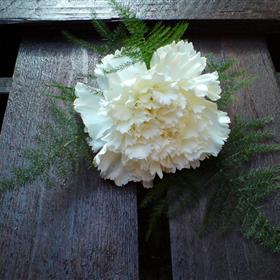 fwthumb01 carnation buttonhole 2.75.jpg